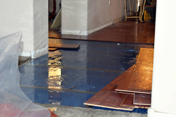 Professional Flood Damage Repair technician working in Higginsport, OH